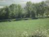normandi035_small.jpg