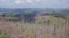 dsc00343_small.jpg
