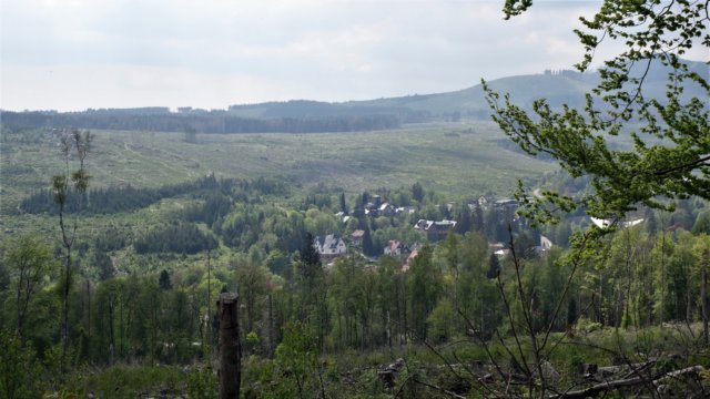dsc00350.jpg