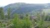 dsc00351_small.jpg
