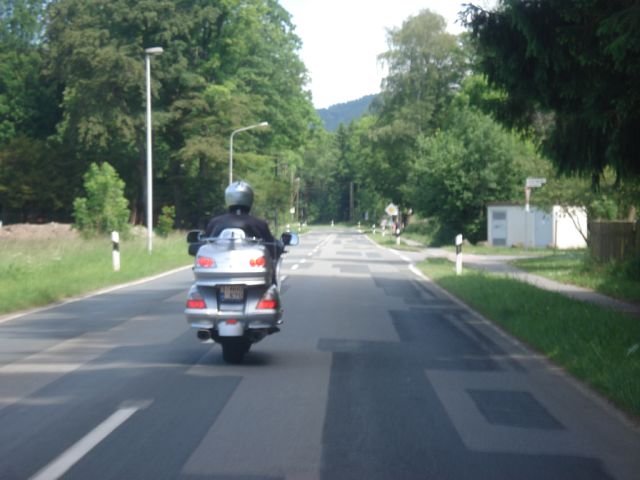 d51.jpg
