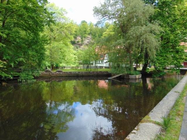 dsc00021.jpg
