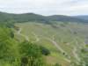 dsc01315_small.jpg