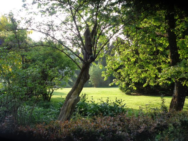 dsc00791.jpg