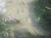 dsc04465_small.jpg