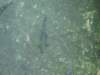 dsc04467_small.jpg