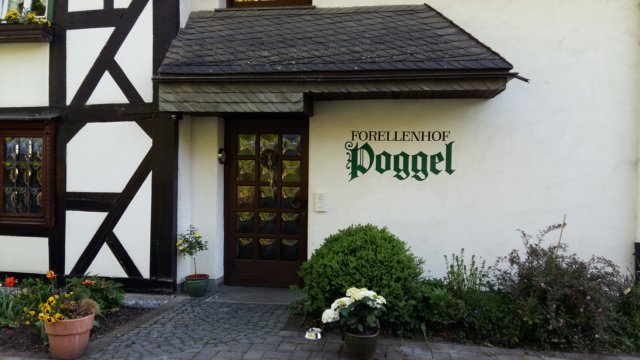 photo4.jpg