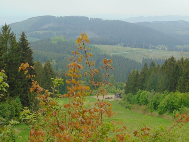 photo69.jpg