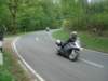 photo71_small.jpg