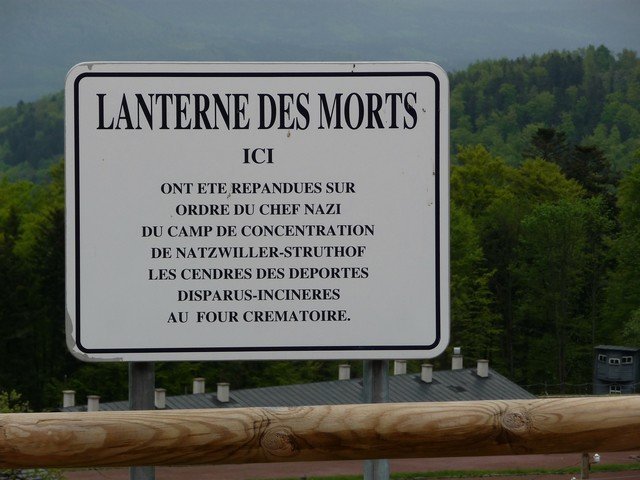 photo51.jpg