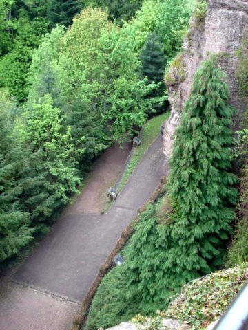 photo64.jpg