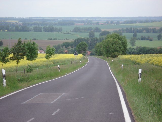 dsc00540.jpg