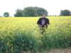 dsc00541_small.jpg