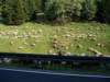 dsc00555_small.jpg