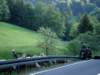 dsc00556_small.jpg