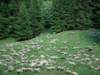 dsc00557_small.jpg