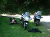 dsc00567_small.jpg