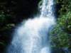p1000725_small.jpg