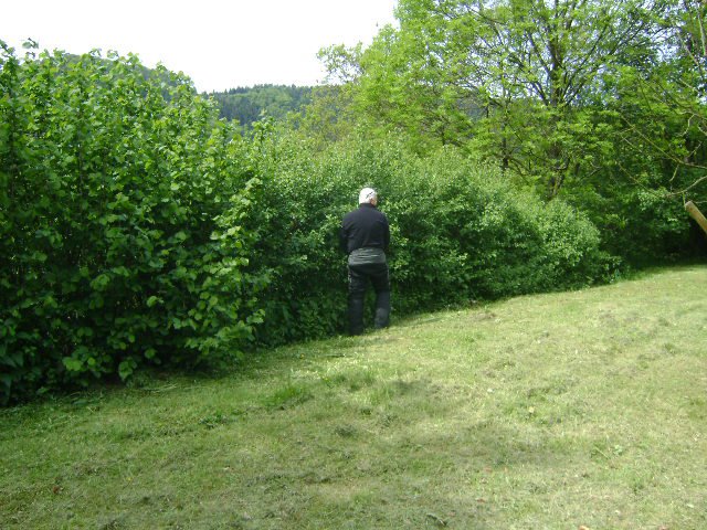 photo4.jpg
