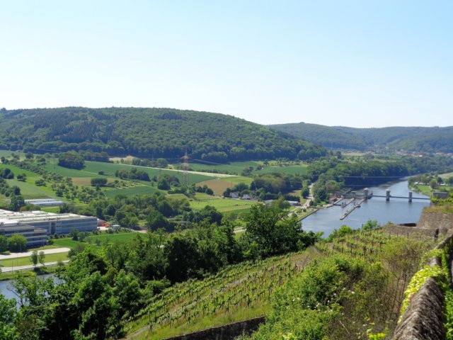 photo12.jpg