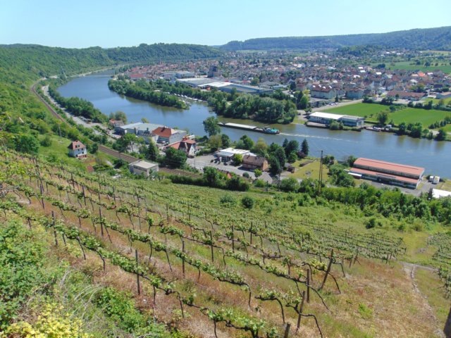 photo13.jpg