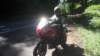 photo32_small.jpg