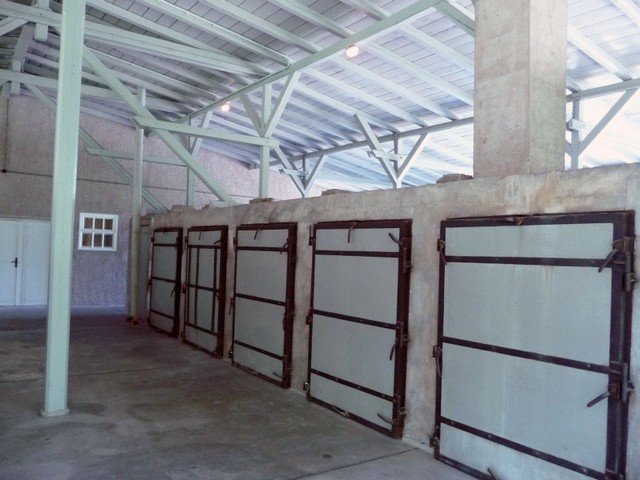 p1000718.jpg
