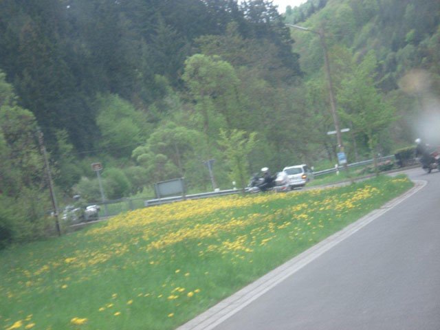 photo10.jpg