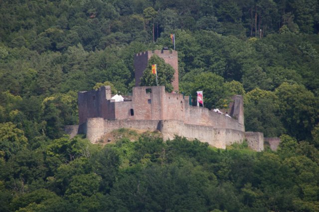 photo20.jpg