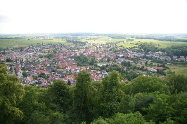 photo42.jpg