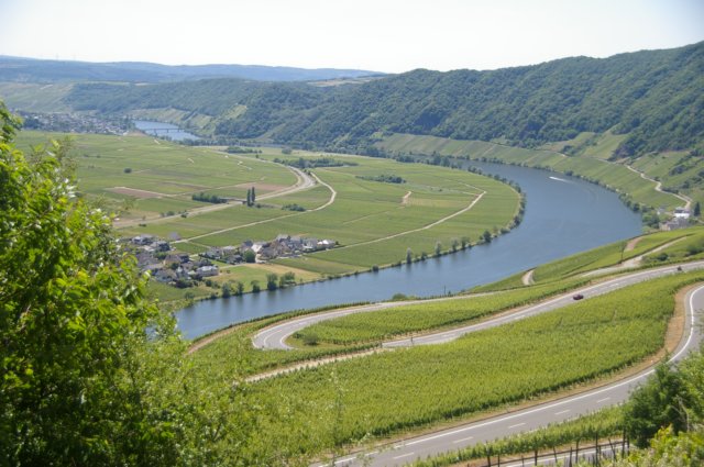 photo9.jpg