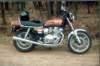 photo38_small.jpg