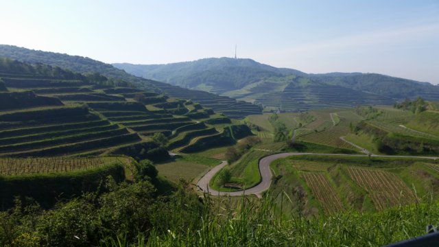 _093405.jpg